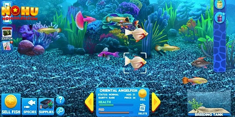 Khám phá giao diện chơi và các tính năng trong game