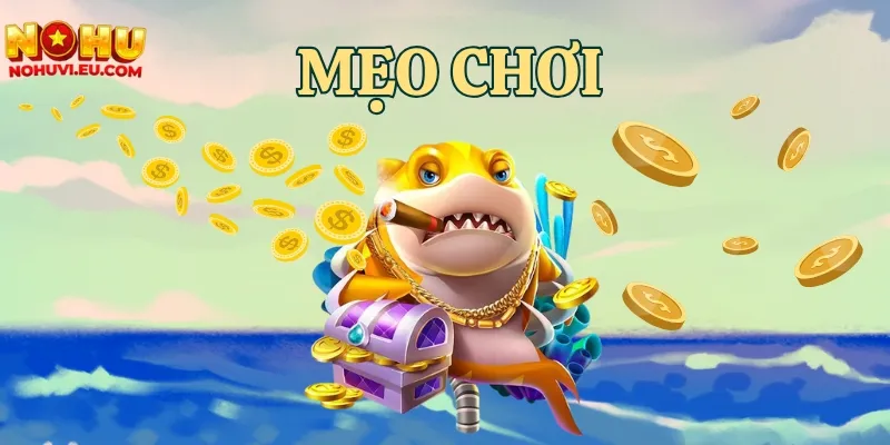 Tham khảo các bí kíp chơi hiệu quả để săn thưởng