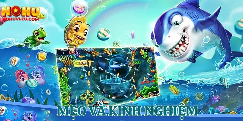 Tham khảo mẹo chơi bắn cá từ các chuyên gia